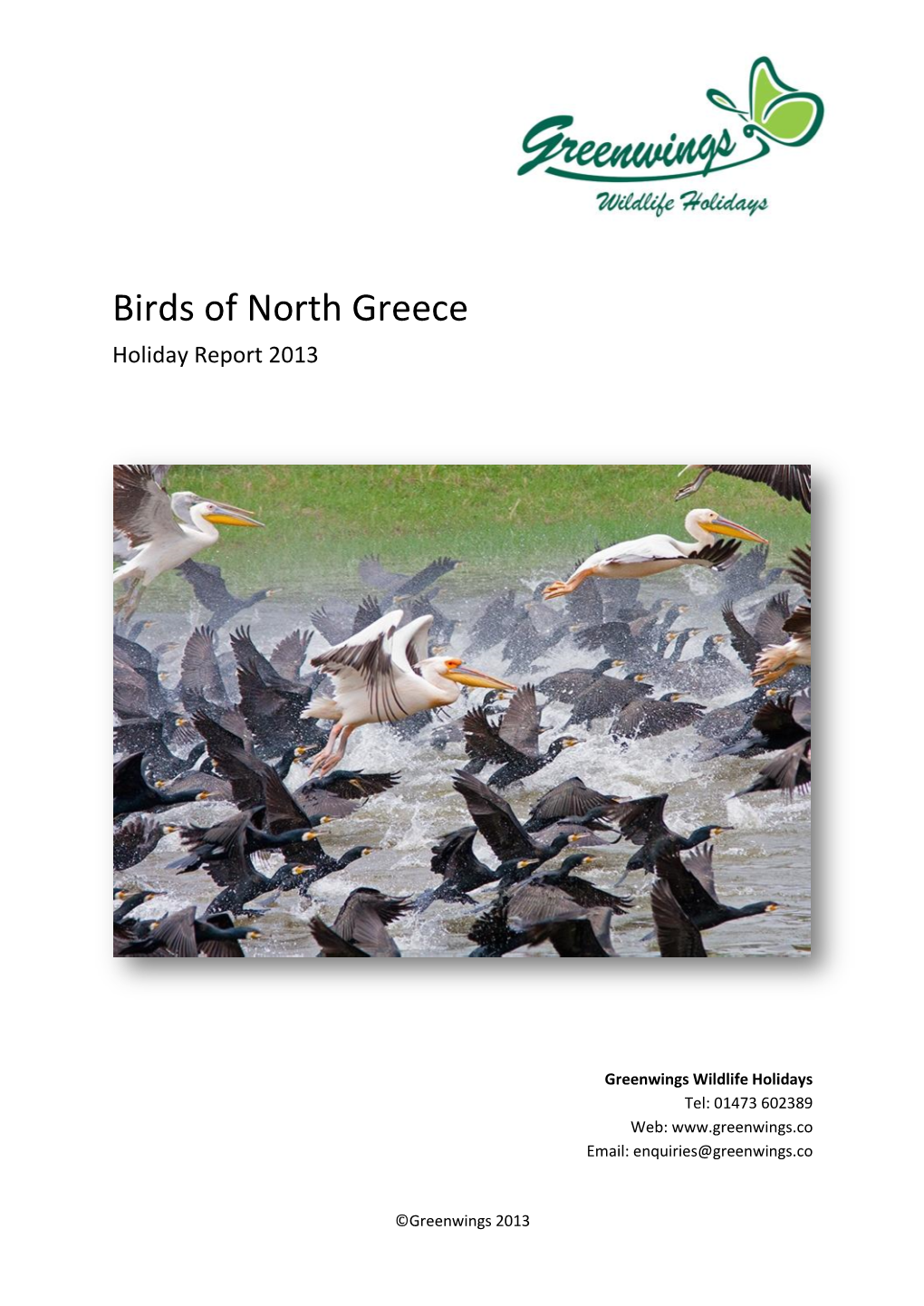Birds of North Greece Holiday Report 2013