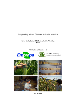 Diagnosing Maize Diseases in Latin America