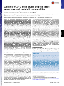 Ablation of XP-V Gene Causes Adipose Tissue Senescence and Metabolic Abnormalities