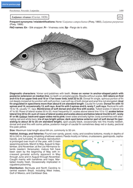 Lutjanus Vivanus (Cuvier, 1828) LTJ Frequent Synonyms / Misidentifications: None / Lutjanus Campechanus (Poey, 1860), Lutjanus Purpureus (Poey, 1866)