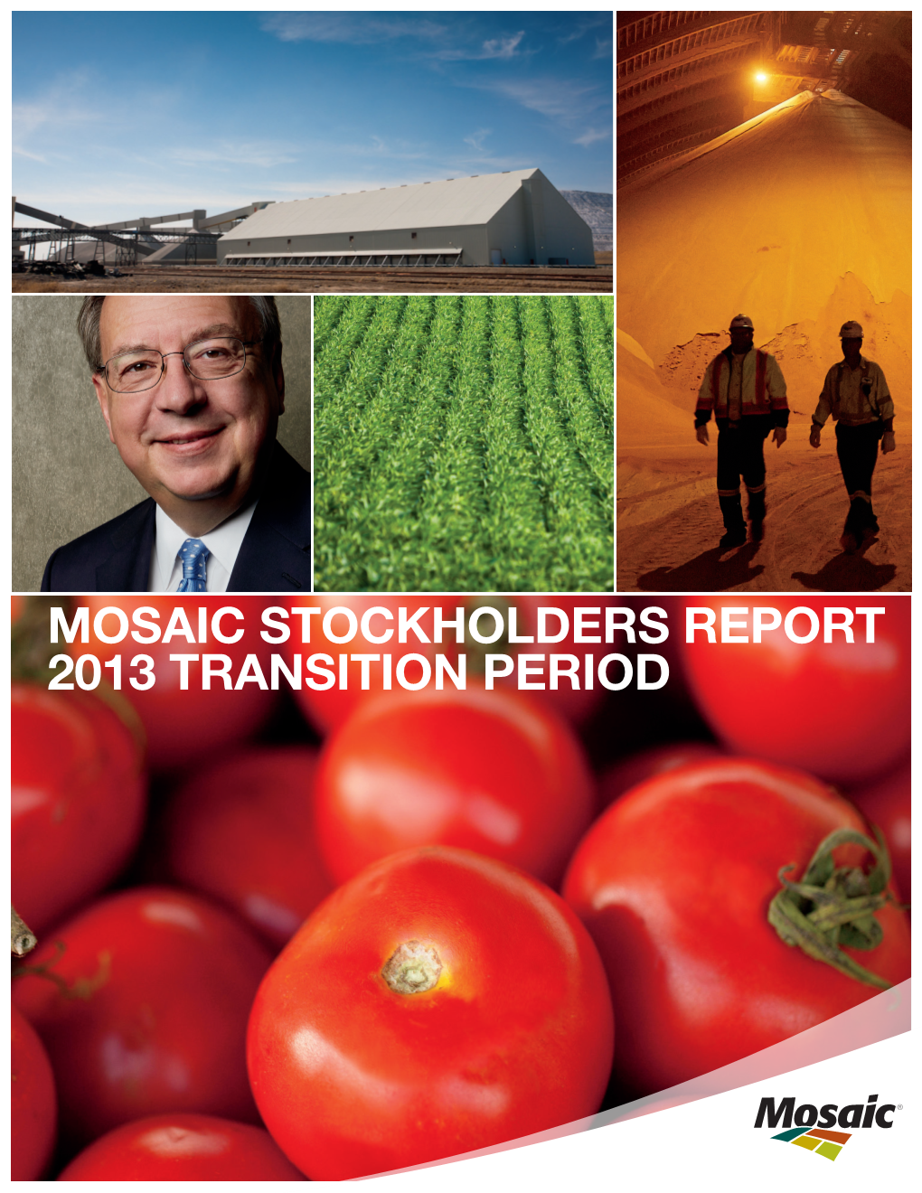 Mosaic Stockholders Report 2013 Transition Period Financial Highlights
