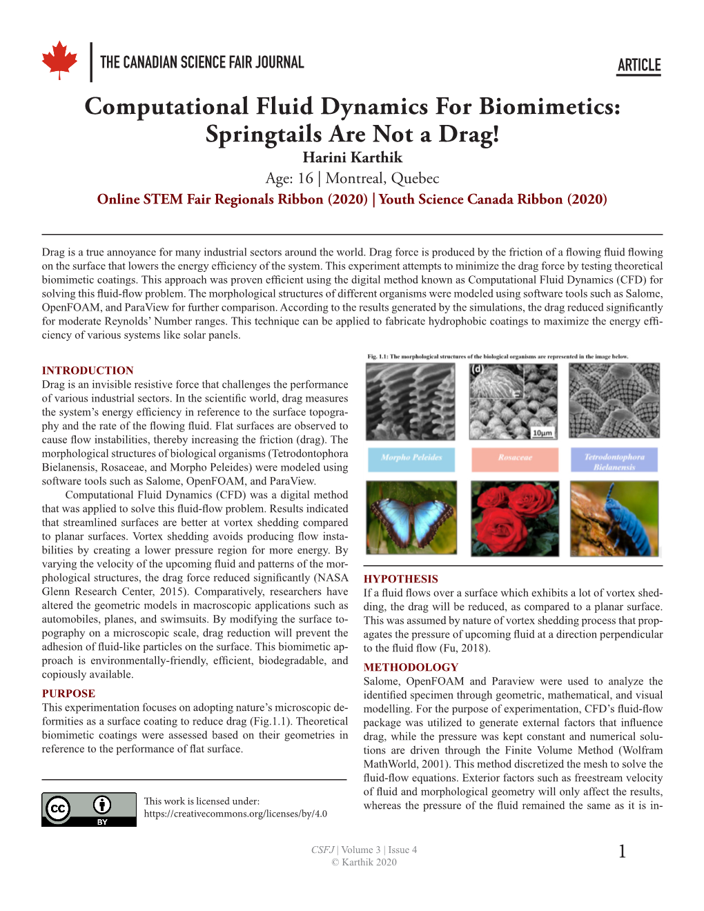 Computational Fluid Dynamics for Biomimetics