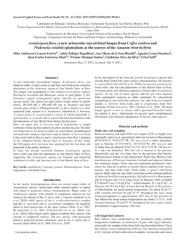 Acaulospora Flava, a New Arbuscular Mycorrhizal Fungus from Coffea