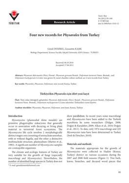 Four New Records for Physarales from Turkey