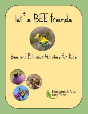 Bee and Pollinator Activities for Kids