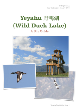 Yeyahu 野鸭湖 (Wild Duck Lake)
