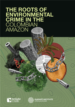 The Roots of Environmental Crime in the Colombian Amazon