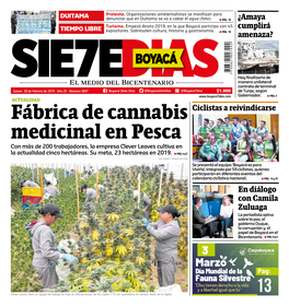 Fábrica De Cannabis Medicinal En Pesca