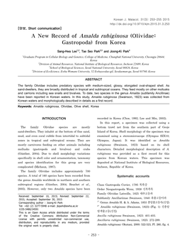 A New Record of Amalda Rubiginosa (Olividae: Gastropoda) from Korea