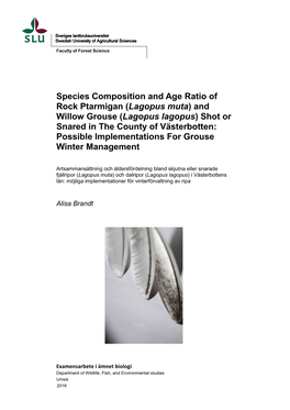 Species Composition and Age Ratio of Rock Ptarmigan (Lagopus Muta)