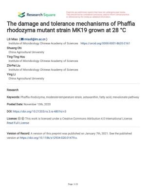 The Damage and Tolerance Mechanisms of Pha a Rhodozyma Mutant Strain MK19 Grown at 28 °C