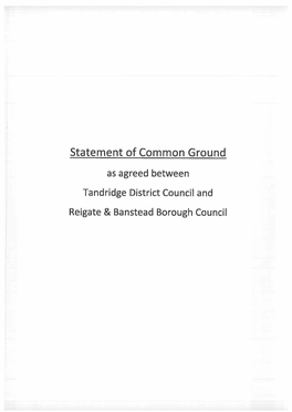 Statement of Common Ground Reigate and Banstead Borough