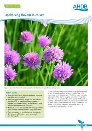 Optimising Flavour in Chives