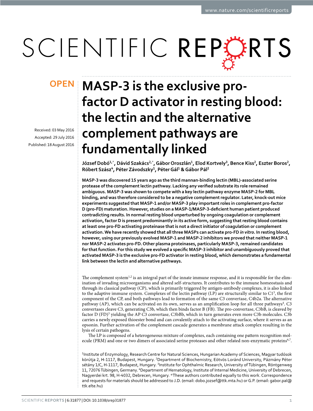 MASP-3 Is the Exclusive Pro-Factor D Activator in Resting Blood: the Lectin and the Alternative Complement Pathways Are Fundamentally Linked