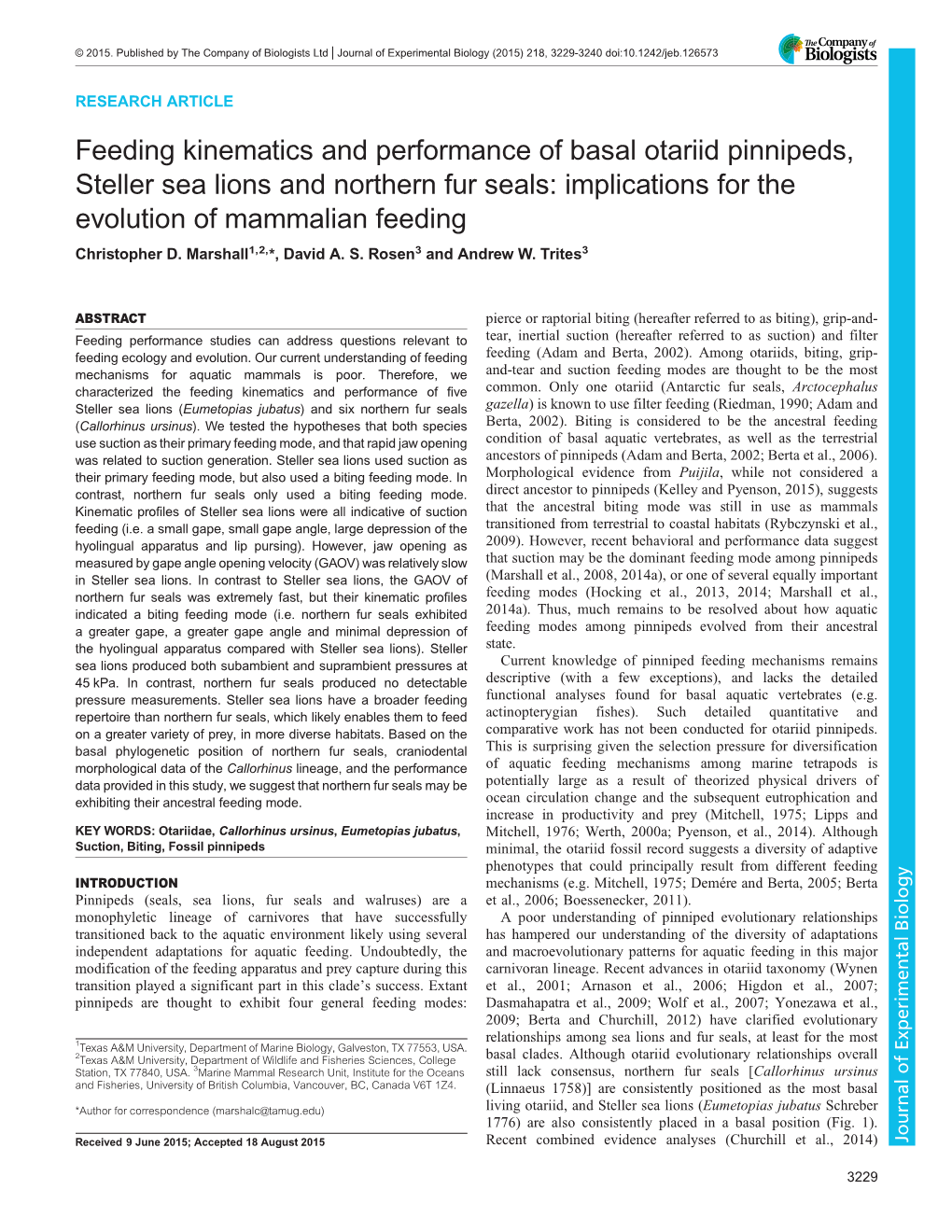 Feeding Kinematics and Performance Of