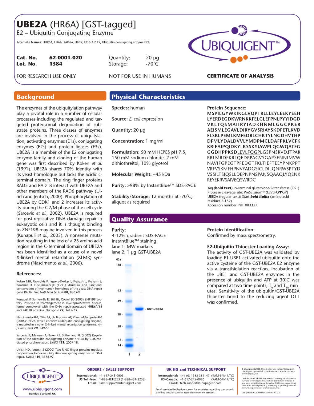 UBE2A (HR6A) [GST-Tagged] E2 – Ubiquitin Conjugating Enzyme