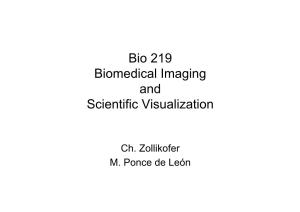 Bio 219 Biomedical Imaging and Scientific Visualization