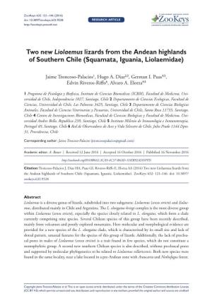 Two New Liolaemus Lizards from the Andean Highlands of Southern Chile (Squamata, Iguania, Liolaemidae)