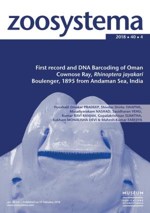 First Record and DNA Barcoding of Oman Cownose Ray, Rhinoptera Jayakari Boulenger, 1895 from Andaman Sea, India