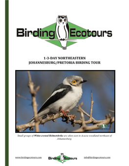 1-3-Day Northeastern Johannesburg/Pretoria Birding Tour