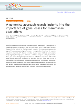 A Genomics Approach Reveals Insights Into the Importance of Gene Losses for Mammalian Adaptations