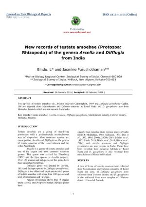 (Protozoa: Rhizopoda) of the Genera Arcella and Difflugia from India