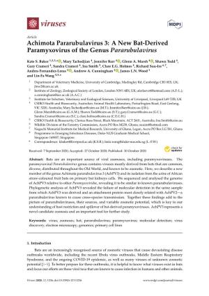 A New Bat-Derived Paramyxovirus of the Genus Pararubulavirus