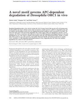 A Novel Motif Governs APC-Dependent Degradation of Drosophila ORC1 in Vivo