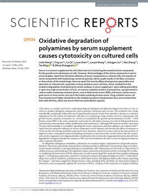 Oxidative Degradation of Polyamines by Serum Supplement Causes