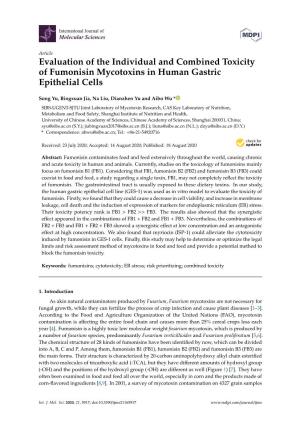Evaluation of the Individual and Combined Toxicity of Fumonisin Mycotoxins in Human Gastric Epithelial Cells