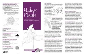 Native Plants for Conservation, Restoration & Landscaping