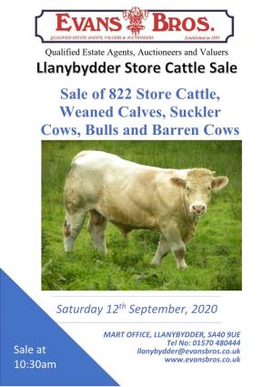 Sale of 822 Store Cattle, Weaned Calves, Suckler Cows, Bulls and Barren Cows