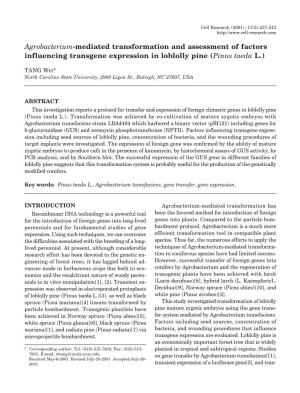 Agrobacterium-Mediated Transformation and Assessment of Factors Influencing Transgene Expression in Loblolly Pine (Pinus Taeda L.)