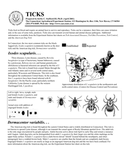 Tick Life Cycle