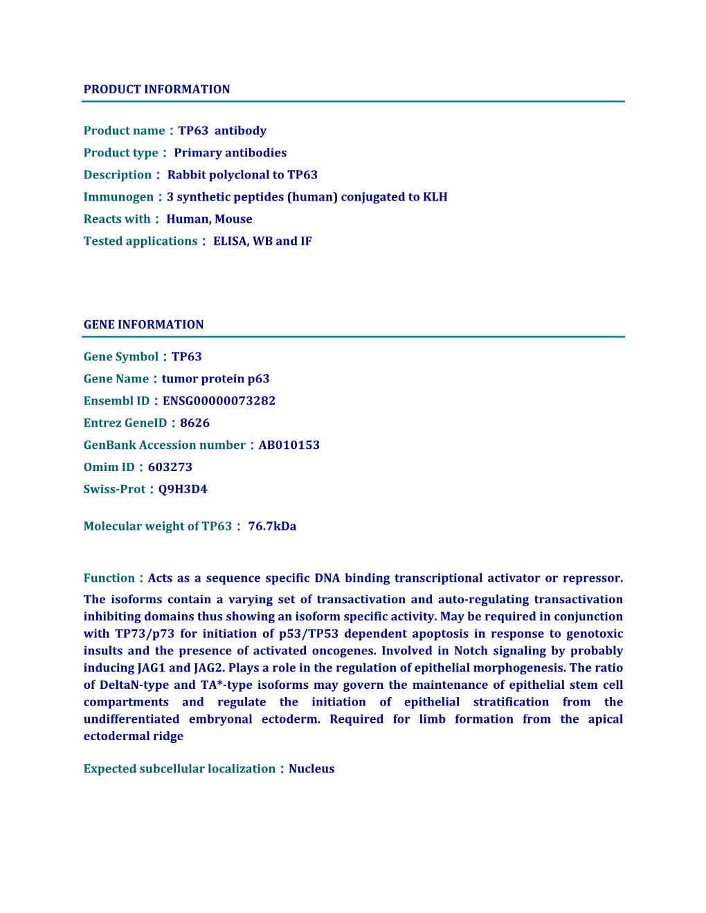 TP63 Antibody Product Type