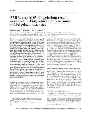 Parps and ADP-Ribosylation: Recent Advances Linking Molecular Functions to Biological Outcomes