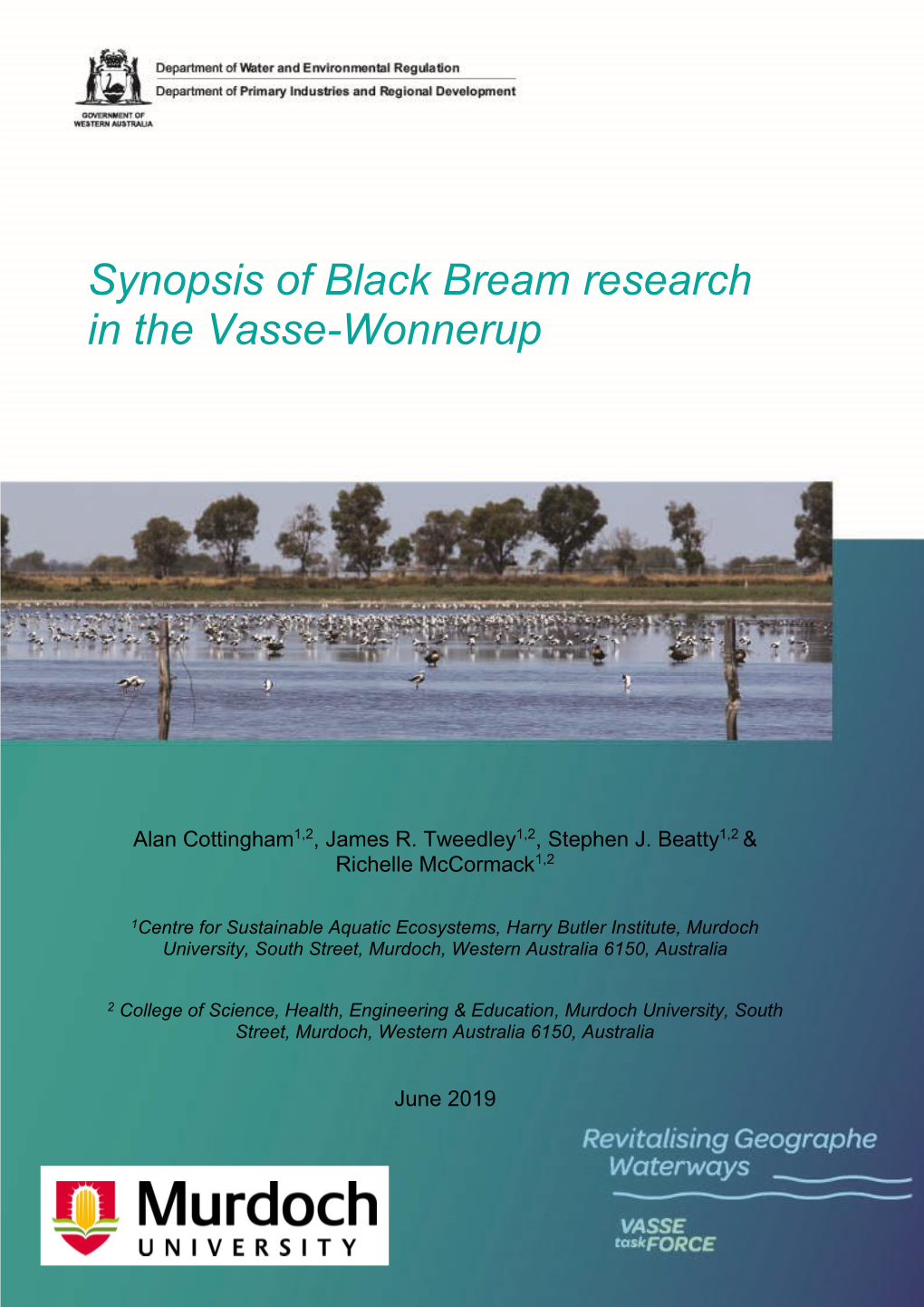 Synopsis of Black Bream Research in the Vasse-Wonnerup 2019