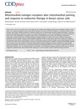 Mitochondrial Estrogen Receptors Alter Mitochondrial Priming and Response to Endocrine Therapy in Breast Cancer Cells