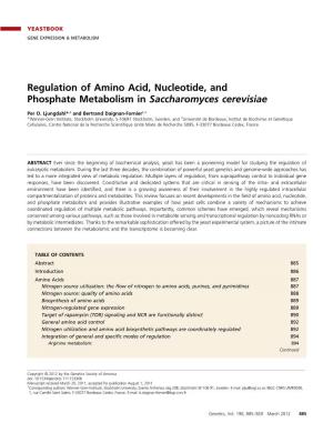 Regulation of Amino Acid, Nucleotide, and Phosphate Metabolism in Saccharomyces Cerevisiae