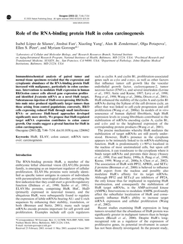 Role of the RNA-Binding Protein Hur in Colon Carcinogenesis