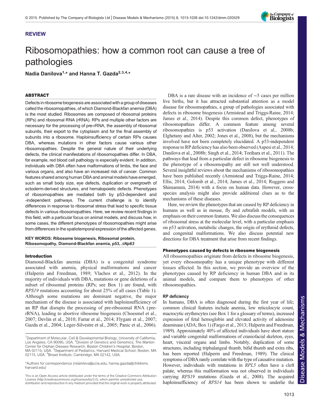 Ribosomopathies: How a Common Root Can Cause a Tree of Pathologies