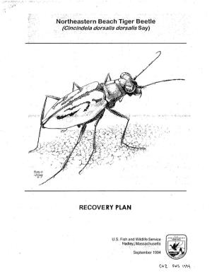 Recovery Plan for Northeastern Beach Tiger Beetle