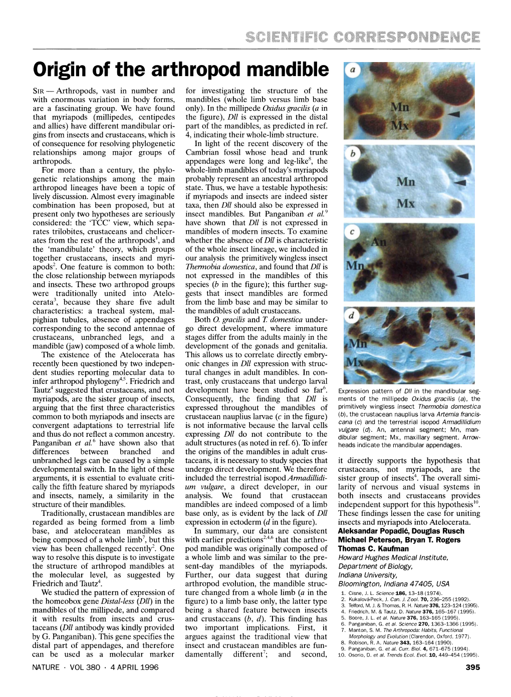 Origin of the Arthropod Mandible