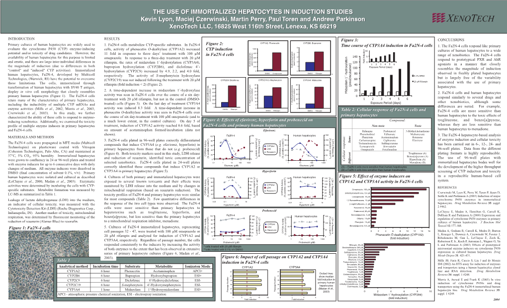 The Use of Immortalized Hepatocytes in Induction Studies