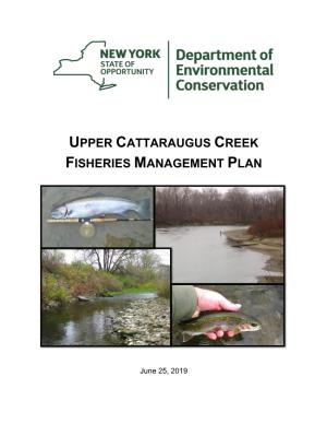 Upper Cattaraugus Creek Fisheries Management Plan