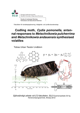 Codling Moth, Cydia Pomonella, Anten- Nal Responses to Metschnikowia Pulcherrima and Metschnikowia Andauensis Synthesised Volatiles