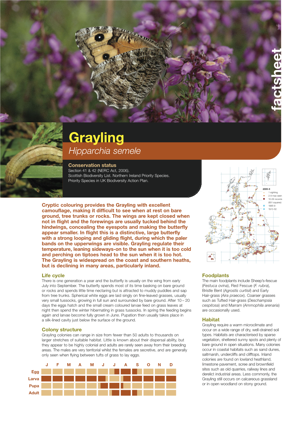 Grayling Species Factsheet
