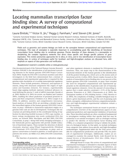 Locating Mammalian Transcription Factor Binding Sites: a Survey of Computational and Experimental Techniques