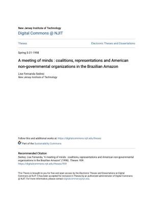 Coalitions, Representations and American Non-Governmental Organizations in the Brazilian Amazon