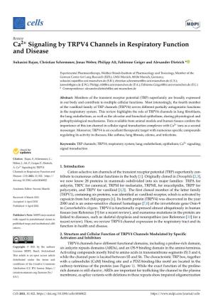Ca2+ Signaling by TRPV4 Channels in Respiratory Function and Disease